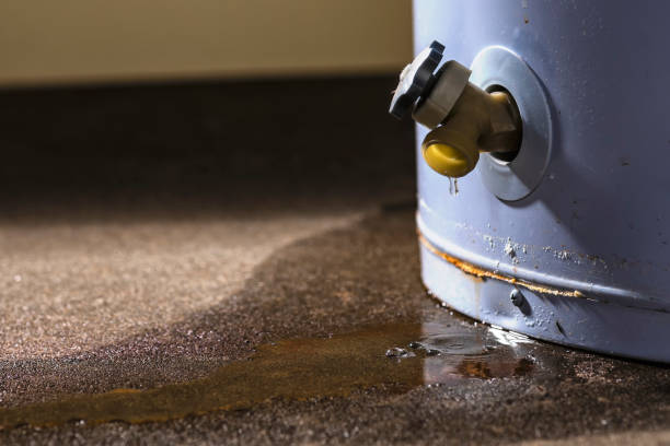  Northwest Harwinton, CT Water damage restoration Pros