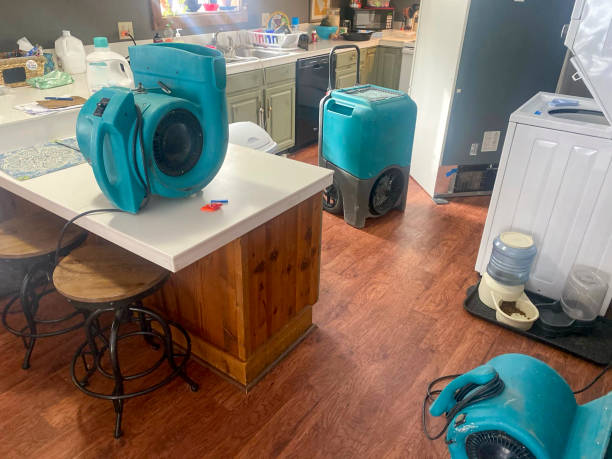 Best Carpet water damage restoration  in Northwest Harwinton, CT
