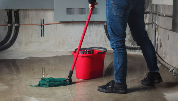 Best Water damage restoration mold remediation  in Northwest Harwinton, CT