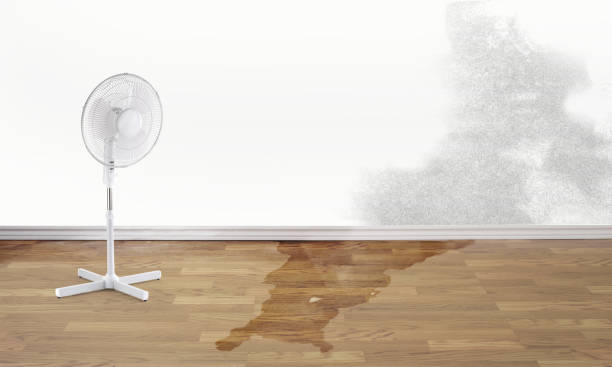 Best Flood restoration services  in Northwest Harwinton, CT