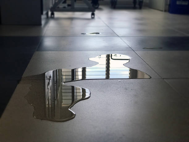 Best Local water damage restoration  in Northwest Harwinton, CT