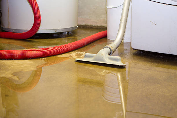 Best Water damage cleanup near me  in Northwest Harwinton, CT